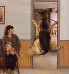 болести здраве