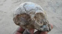 років