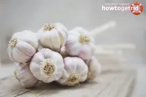 Часникова маска для волосся 5 рецептів масок маска