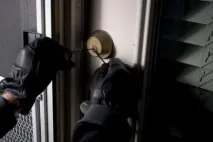 грабіжники