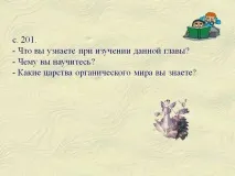 свят висшите растения