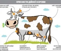 по-дълга колкото