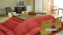 Що таке – котацу таке