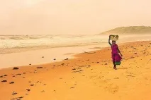 какво вземете