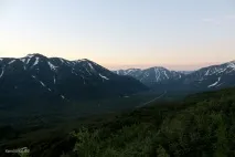 вили
