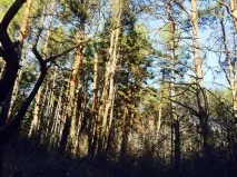 Чудо-маска для обличчя та тіла від Світлани Лободи, oblacco чудо-маска