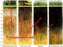 Квітник без клопоту (визначення складу ґрунту), Улюблений сад без клопоту визначення