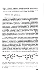 действие велика