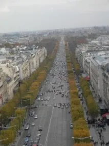 градината Тюйлери дърво Комплект