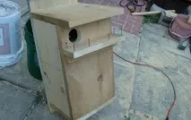 Будиночок для білки своїми руками будиночка