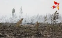 зона тази
