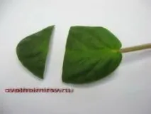 прозореца теменужки