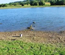 fion какво