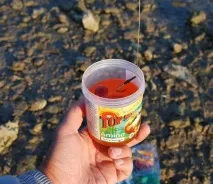 бойли какво