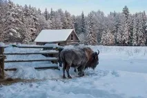 курорт