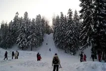 токсово