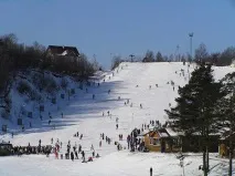гірськолижний