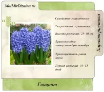 есента