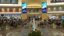 факти летището