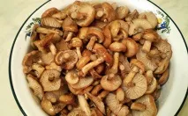 снимки гъби
