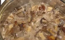 гъби снимки