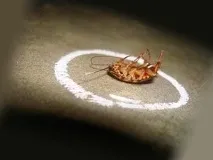 използване срещу