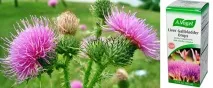 IHerb Гід по добавках для домашнього ДЕТОКСУ, iklumba очищення