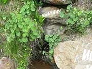 Кислі