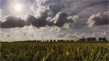 властивості