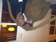 камерата изображението