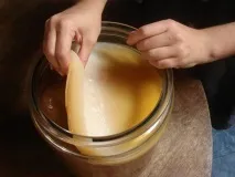 Яка користь від чайного гриба. чайного