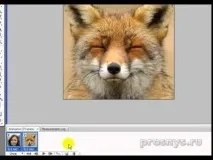 Як робити у Photoshop анімацію з фотографій робити