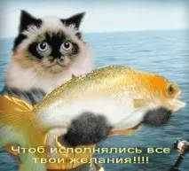 изпълнение Отговор април