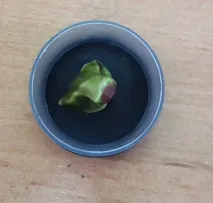 наушник слухови