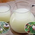 могат могат