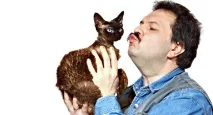 Якщо