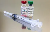 Які щеплення роблять кошеням і коли потрібно робити перше щеплення роблять