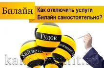 Як вимкнути платні послуги на Білайні самостійно білайні