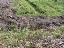 Які бувають дачі або що робити з болотом робити