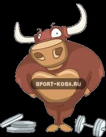 Як накачати м’язи шиї в будь-яких умовах умовах