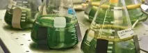 започнем производството