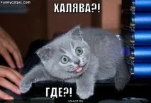 халявником