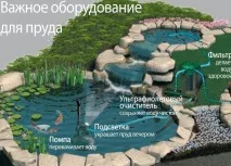 Як зробити ставок на дачі для розведення риби, ТопФазенда дачі