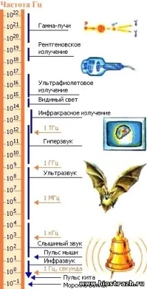 работи каталог