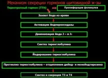 таке