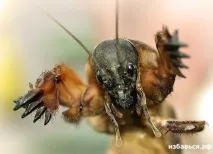 сайта сайта
