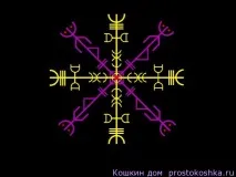 Ставши Чорна Зірка, Кошкін будинок зірка