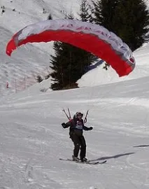 speedgliding съществително брой
