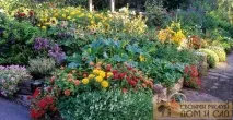 Як зробити високі грядки багато корисних ідей багато