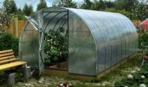 Як своїми руками побудувати теплицю для дачі своїми